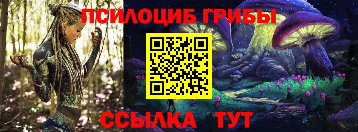 Волоколамск  Галлюциногенные грибы ЛСД  Вход с VPN  Псилоцибиновые грибы мухоморы 