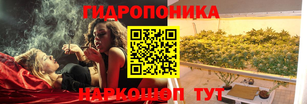Марихуана OG Kush  Конопля марихуана  Волоколамск  Вход с VPN  Шишки марихуана семена  Бошки Шишки тримм 